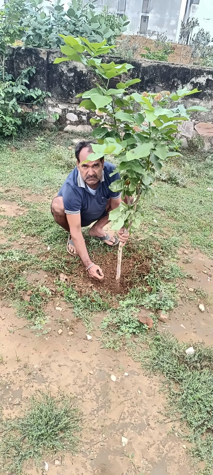 National Vice President Planting a Tree